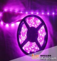 Flexible LED Light Strip 3528 30L/M Non-waterproof IP44 Poly Color
