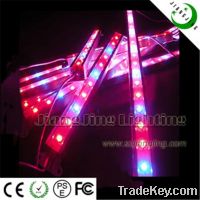 Hot Sell led grow light