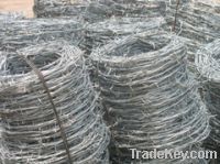 Sell Galvanized Barbed Iron Wire