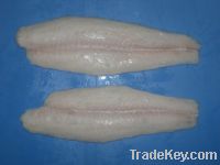 Sell Basa while fillet, well-trimmed with glazing from Viet Nam