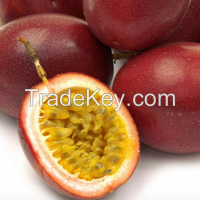 FRUITS: Dragon fruit, Rambutan, Mango, Lime, Jackfruit, Passion fruit, Banana, Coconut, Pomelo, Pineapple