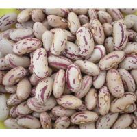 White, Speckled, Black Red Kidney Beans