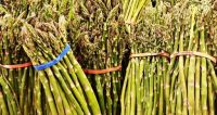 Fresh Frozen Asparagus And Asparagus Seeds