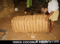 Sell Coconut Fiber