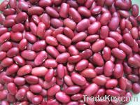sell red kidney beans