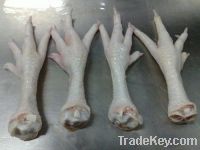  Export Chicken Paw | Chicken Feet Suppliers | Poultry Feet Exporters | Chicken Feets Traders | Processed Chicken Paw Buyers | Frozen Poultry Paw Wholesalers | Low Price Freeze Chicken Paw | Best Buy Chicken Paw | Buy Chicken Paw | Import Chicken Paw | Ch