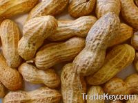 PEANUTS FOR SALE