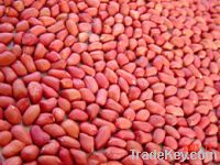 RED SKIN PEANUTS