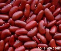 Dark Red, Black, Red Kidney Beans Available