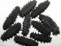 Dry Sea Cucumber