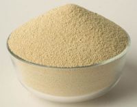 Soybean Meal