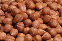 Hazelnut Kernels