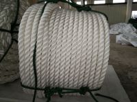 Strand Polypropylene Rope with Factory Price