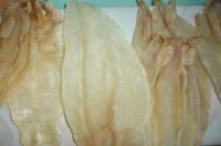 Fish Maw (pangasius, Basa) For Sale