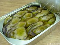 Canned Oysters