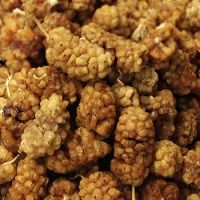 Freeze dried mulberry
