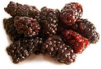 IQF Dried Blackberry Fruit