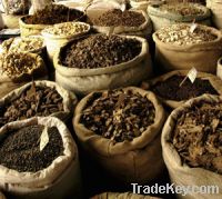 Medicinal herbs for Sell