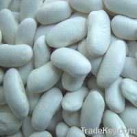 Big White Kidney Beans
