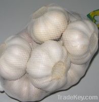 Chinese Fresh Pure White Garlic