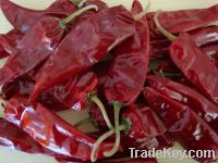 Chinese Dried Capsicum/Chilli
