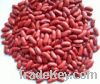 British Red Kidney Beans (2011 new crop)