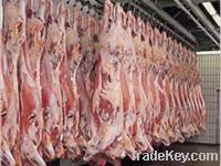 Sell carcass lamb