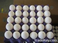 Sell Fresh Eggs , White, 53-63 Grams, 360 per each carton