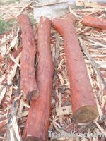 Sell RED SANDALWOOD