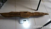 Sell agarwood big piece 600 gram