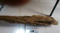 Sell agarwood big piece 748 gram