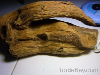 Sell agarwood 850 gram