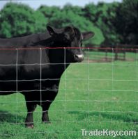 Sell Grassland Fence