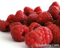 Organic raspberry concentrate 65 Brix
