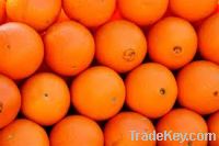 Sell orange tomate