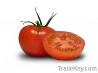 Sell tomate