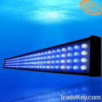 Cree dimmable 5ft 150w LED Aquarium Lighting