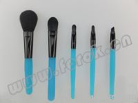 5pcs Makeup/Cosmetic Brush Set BS08031