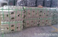 supply  Tin ingot