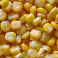 Sell corn, 50 000mt