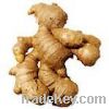 Sell ginger( fresh, dry, powder)