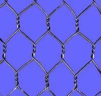 offer Hexagonal Wire Mesh