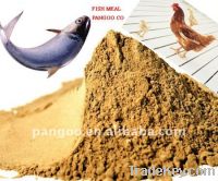 Hot Sell Fish Meal 60% & 65%