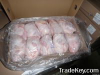 Frozen Chicken for sell