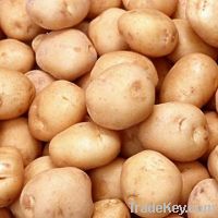 Offering Potatoes