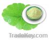 Sell Gotu Kola  plant extract