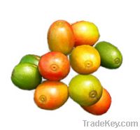 Sell Green Coffee Extract