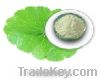 Sell Titrated Extract of Centella Asiatica(TECA)