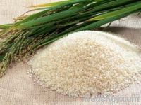 Sell 1121 sella basmati rice