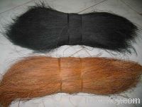 Sell Bristle Fiber